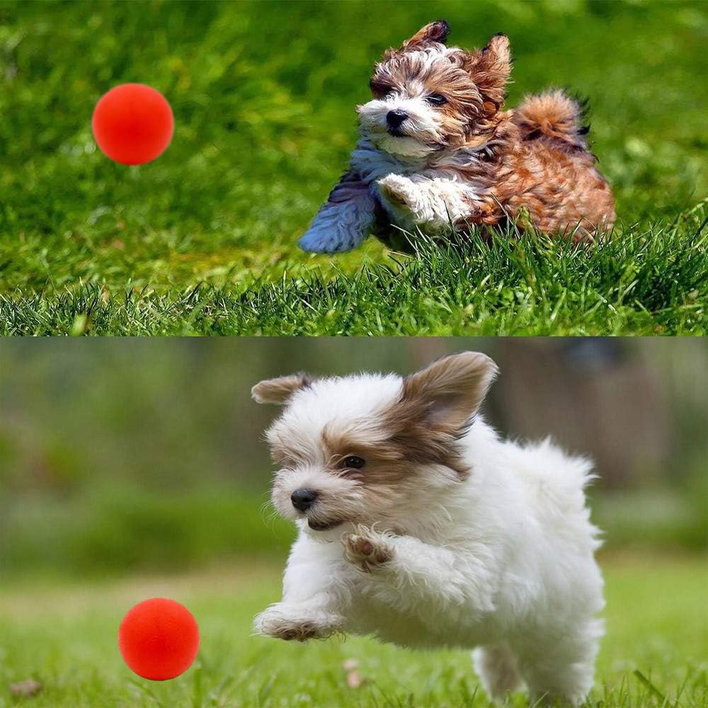 Puppy Balls - Pack with Different Functions & Teething Toys for Small Dogs, Squeaky Dog Balls, Rubber Chew Toys for Enrichment